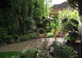 Bonsai Garden during the Summer 2012 